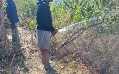 The Youth Unemployment Crisis in Eswatini: Why Traditional Education Isn’t Enough And What You Can Do About It